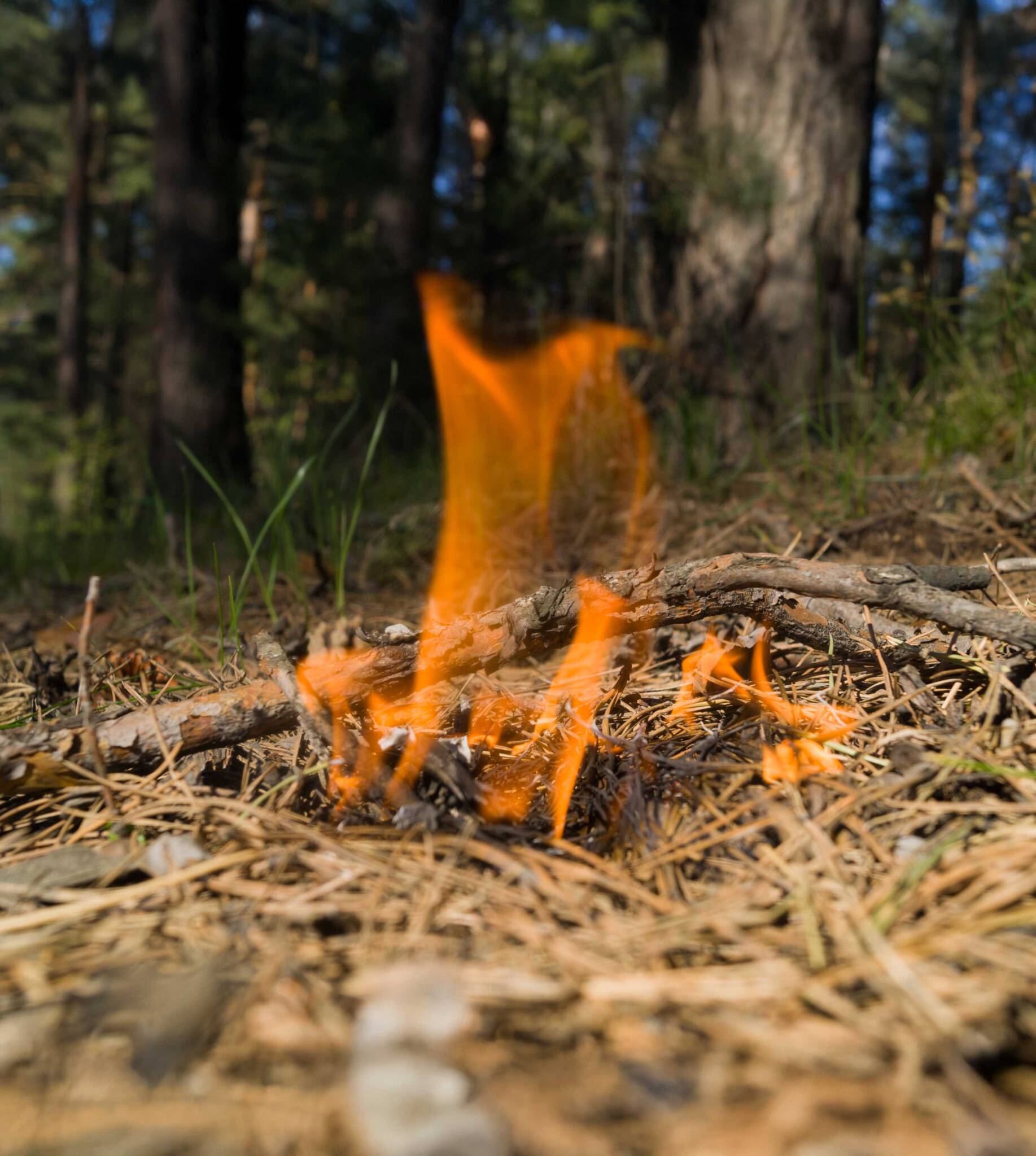 Freiwillige Feuerwehr Breitnau: Reisigfeuer
